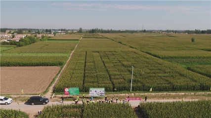 &ldquo;內(nèi)蒙古巴彥淖爾市科河種業(yè)&rdquo;入圍《信用中國(guó)》欄目