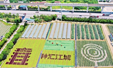 從&ldquo;面對(duì)面&rdquo;到&ldquo;屏連屏&rdquo; 武漢種博會(huì)創(chuàng)新辦會(huì)模式 穩(wěn)步走進(jìn)&ldquo;云展時(shí)代&rdquo;