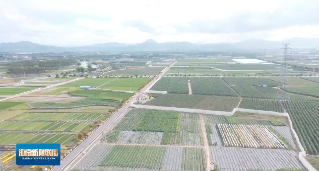 海南南繁硅谷:引領種業創新的先鋒力量