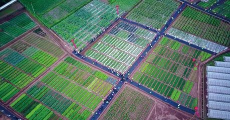 2019中國云南蔬菜種業(yè)博覽會 開啟種業(yè)新篇章