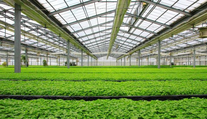 種業(yè)商務網(wǎng) 現(xiàn)代種業(yè)發(fā)展的數(shù)字化引擎