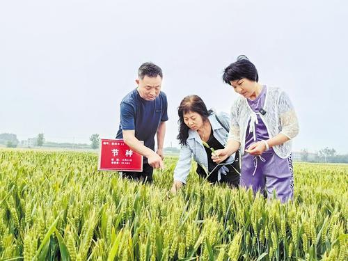 國(guó)家級(jí)展會(huì)賦能，洞見中國(guó)種業(yè)發(fā)展的新機(jī)遇